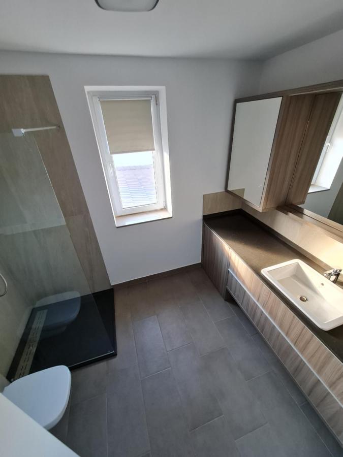 Casa La Fayette Hotel Timisoara Ngoại thất bức ảnh